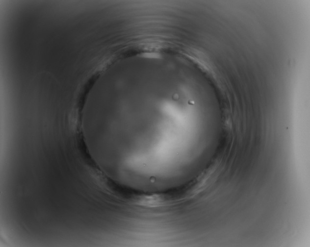 X0000090440411200707131223