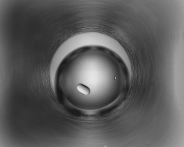 X0000090440412200707131223