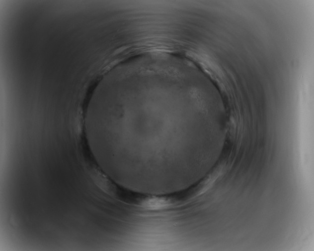 X0000090440413200707131223