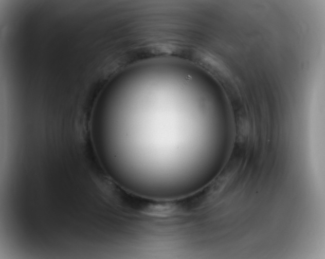 X0000090440414200707131223