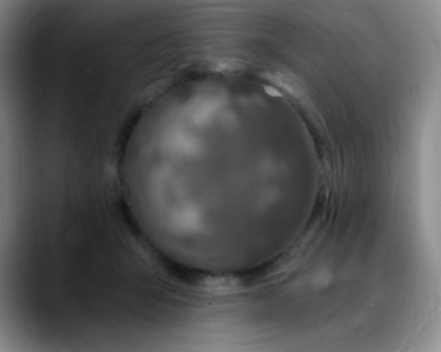 X0000090440415200707131223