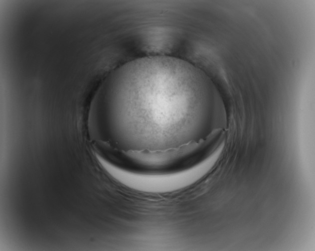 X0000090440416200707131223