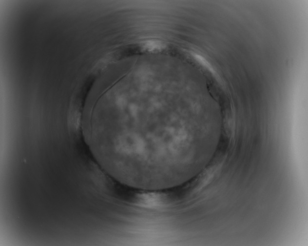 X0000090440417200707131223