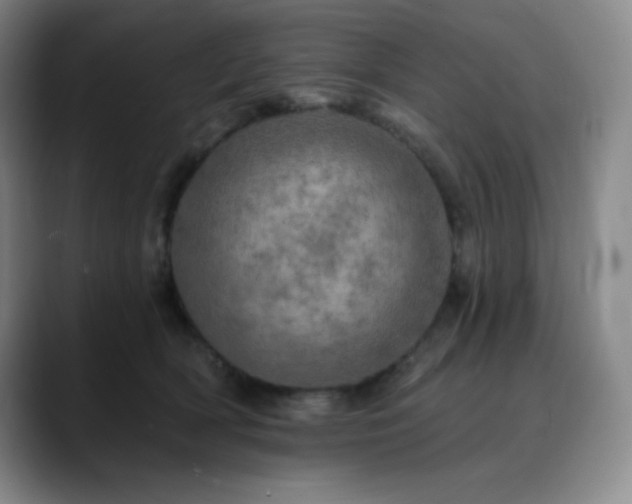 X0000090440418200707131223