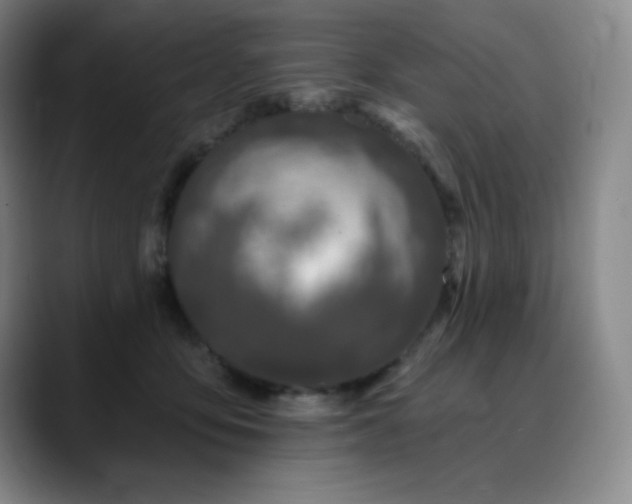 X0000090440419200707131223