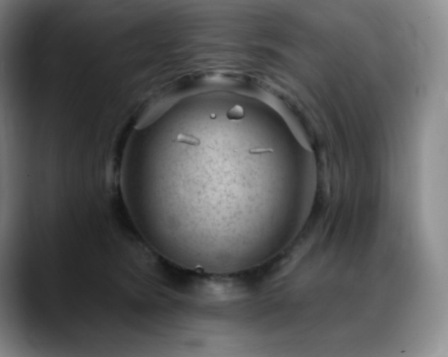 X0000090440420200707131223