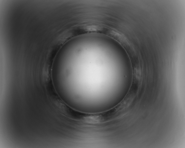 X0000090440422200707131223