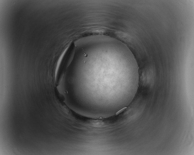 X0000090440424200707131223