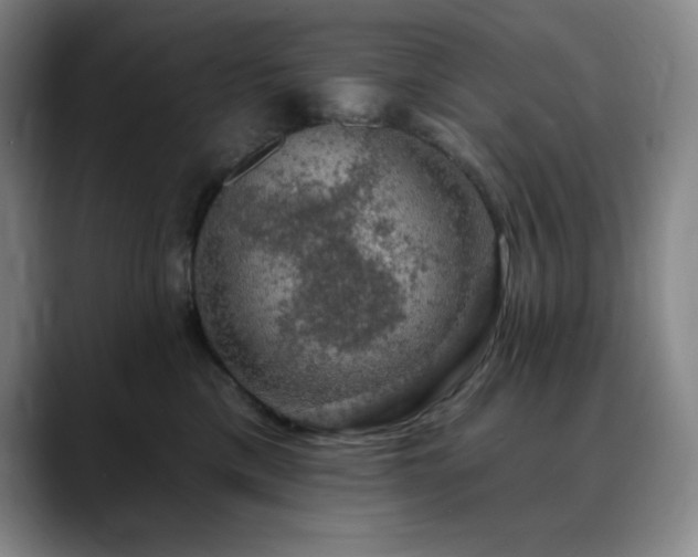 X0000090440425200707131223