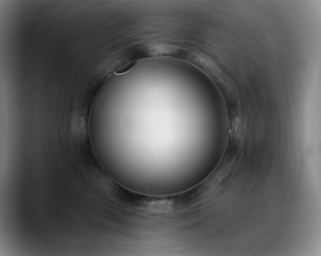 X0000090440426200707131223