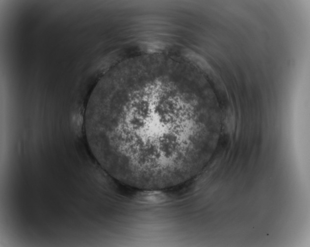 X0000090440427200707131223