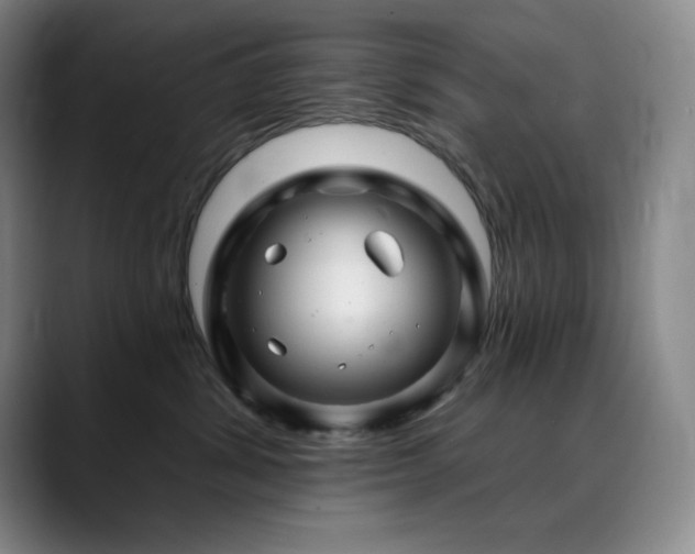 X0000090440428200707131223