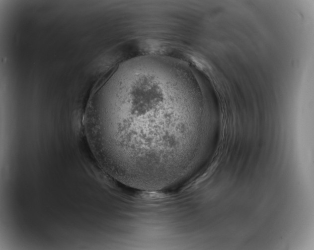 X0000090440429200707131223