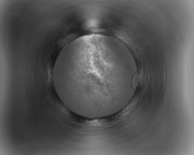 X0000090440430200707131223