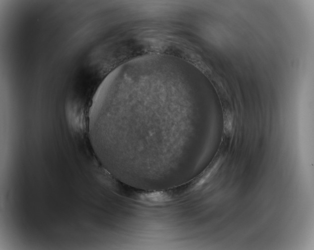 X0000090440431200707131223