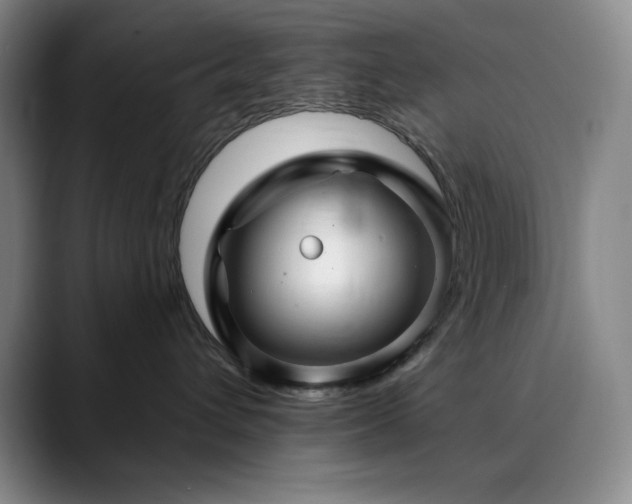 X0000090440432200707131223