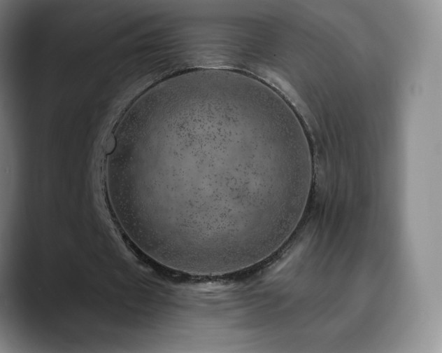 X0000090440433200707131223