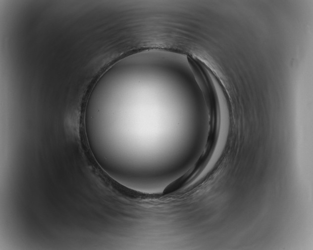 X0000090440434200707131223