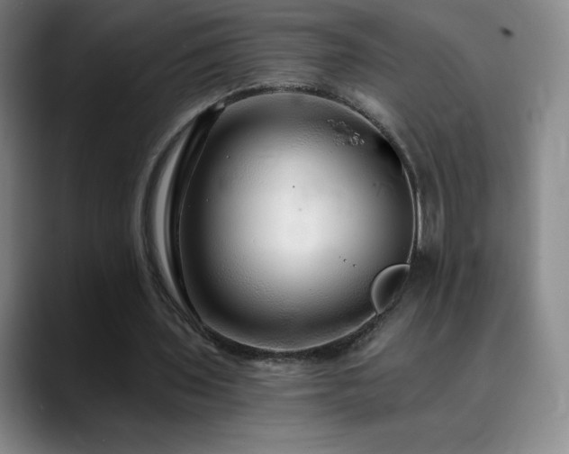 X0000090440435200707131223