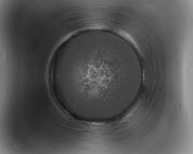 X0000090440436200707131223