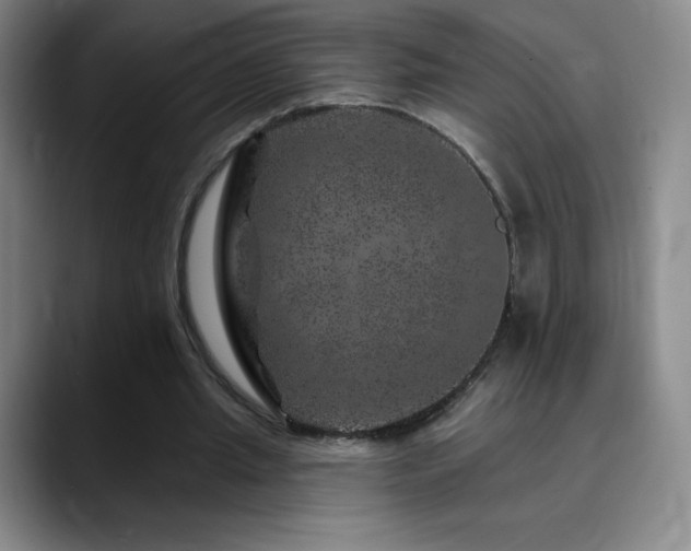 X0000090440437200707131223