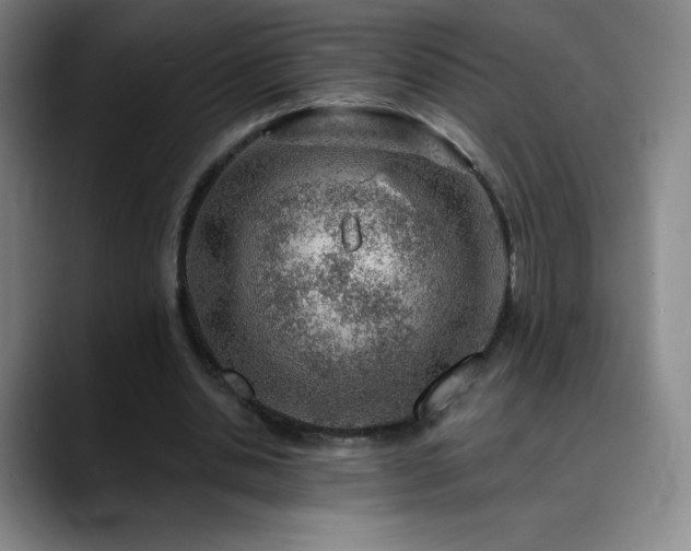 X0000090440438200707131223