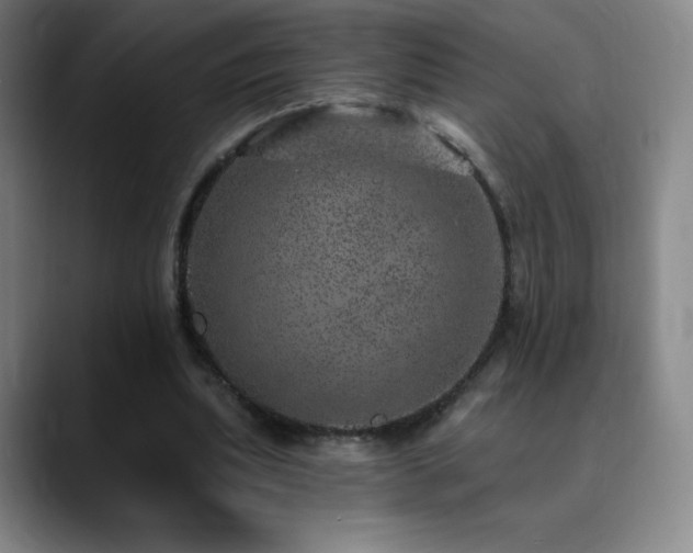 X0000090440439200707131223