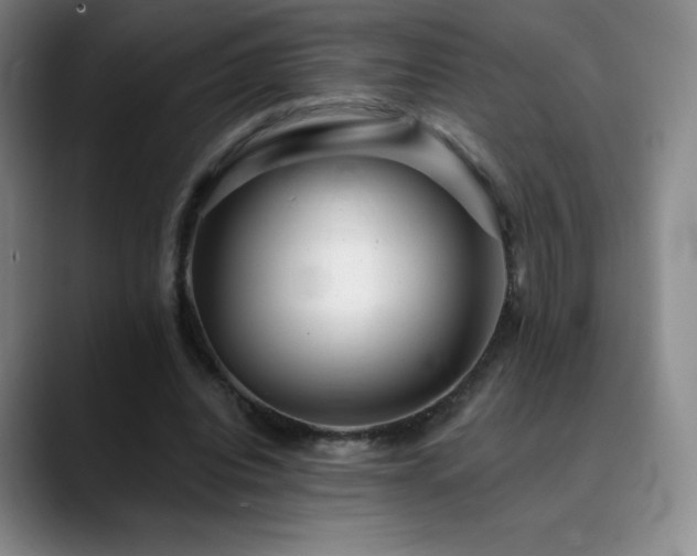 X0000090440440200707131223