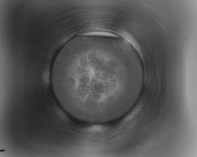 X0000090440441200707131223