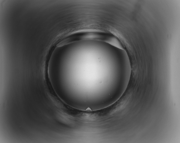 X0000090440442200707131223