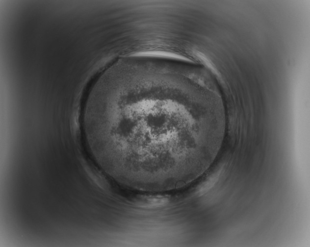 X0000090440443200707131223