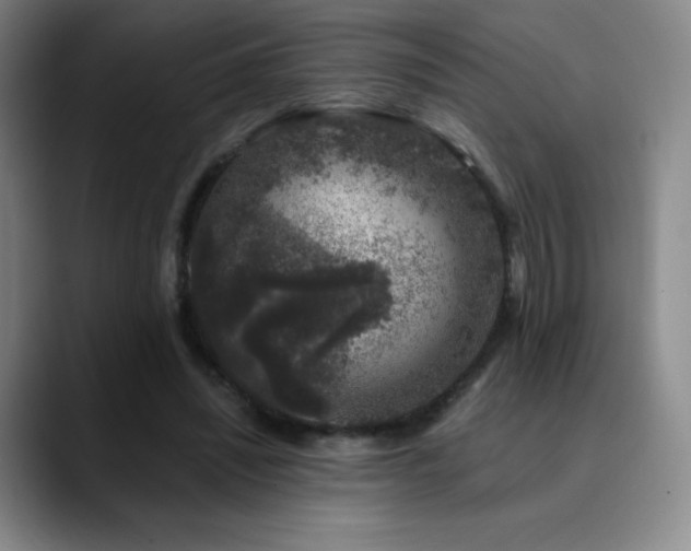 X0000090440444200707131223