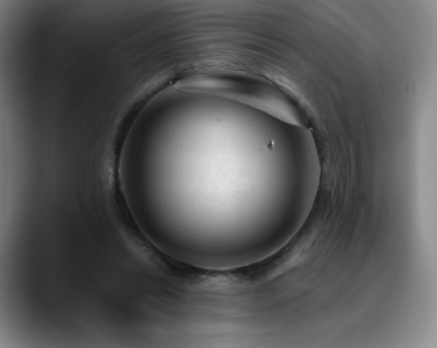 X0000090440446200707131223