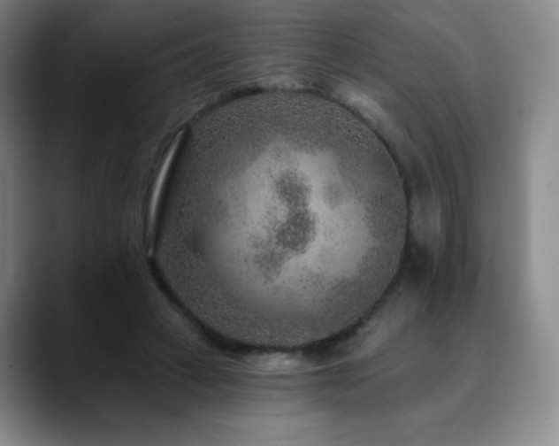 X0000090440449200707131223