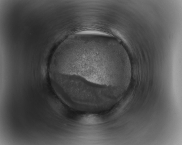 X0000090440451200707131223