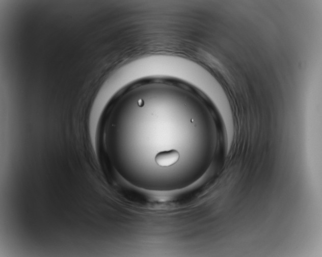 X0000090440452200707131223