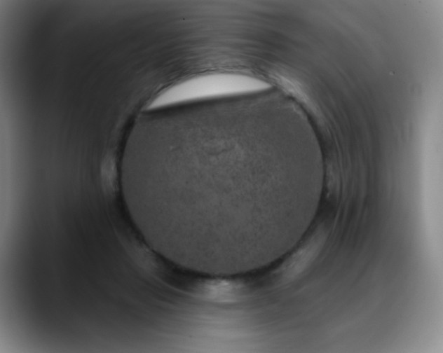 X0000090440453200707131223