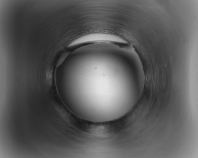 X0000090440454200707131223