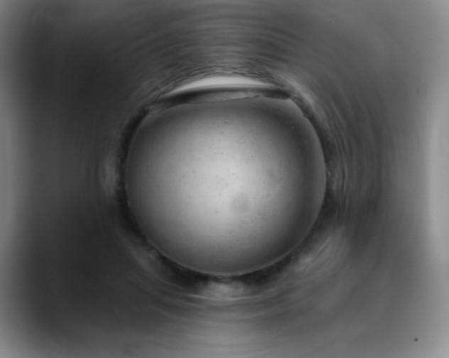 X0000090440455200707131223