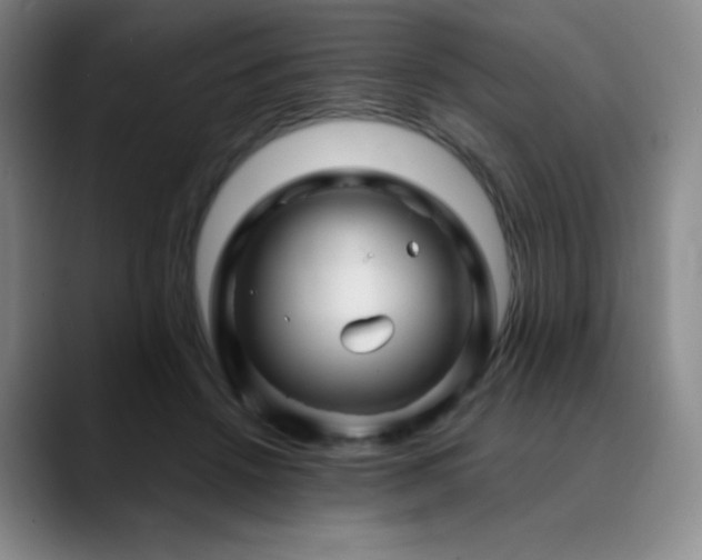 X0000090440456200707131223