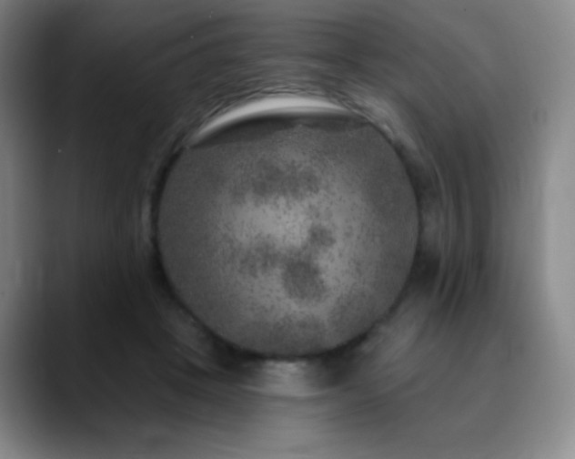 X0000090440457200707131223