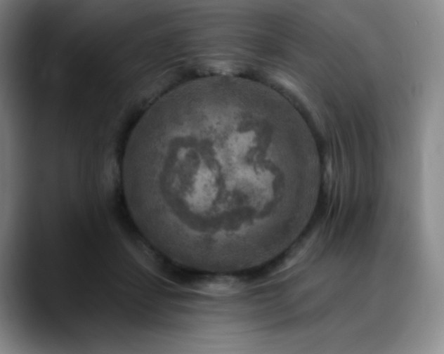 X0000090440459200707131223