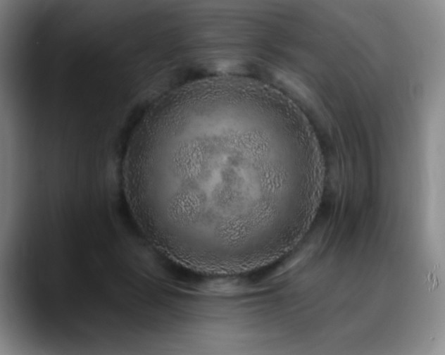 X0000090440461200707131223