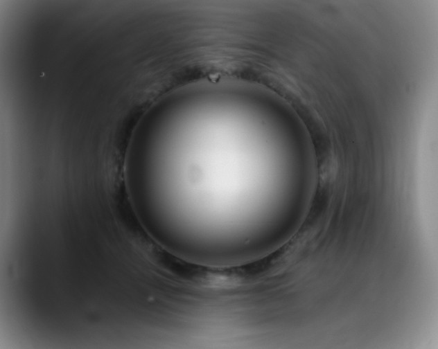 X0000090440464200707131223