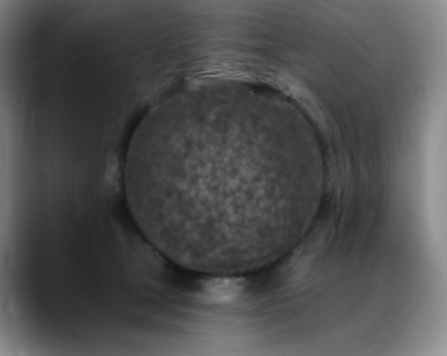 X0000090440465200707131223