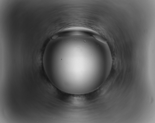 X0000090440466200707131223