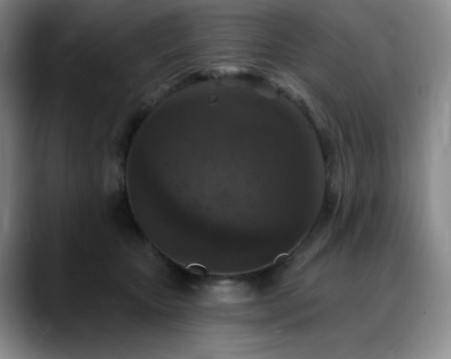 X0000090440467200707131223