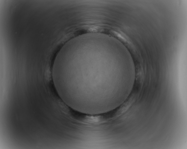 X0000090440469200707131223