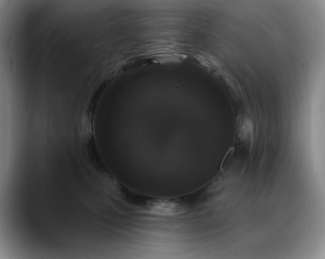 X0000090440471200707131223