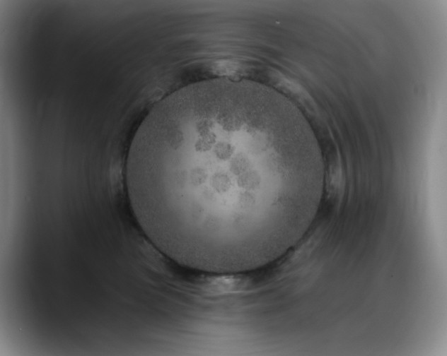 X0000090440473200707131223